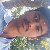 Krishan, 56, Straubing