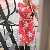 Avyanna, 35, Greece