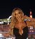 Sophia love, 33, Elesvaram