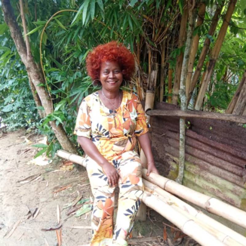 Lily, 59, Lo Barnechea
