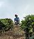 Shaah, 20, Cheste