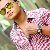 Sohel Raz, 33, Carcaran