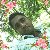 Sahidul Islam, 35, Namibia
