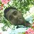 Sahidul Islam, 35, Donga
