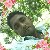 Sahidul Islam, 35, Songzi