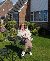 Holz, 51, Pattensen