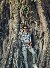 Riyad, 22, Cqueza