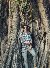 Riyad, 22, Russian Federation