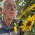 Peter, 67, Suecia
